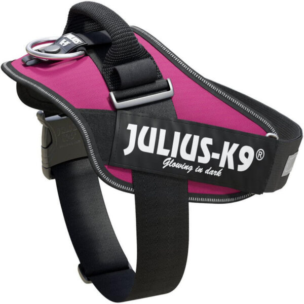 Julius-K9 IDC sötétrózsaszín powerhám kutyáknak