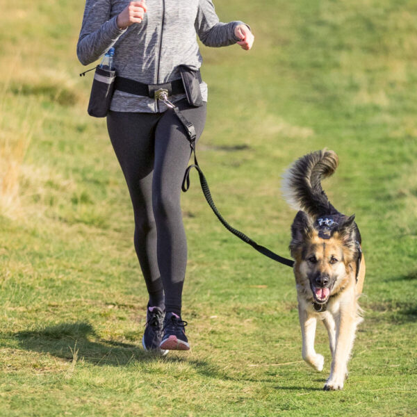 Trixie Dog Activity öv pórázzal és zsebekkel közepes testű kutyáknak Trixie Dog Activity öv pórázzal és zsebekkel közepes testű kutyáknak
