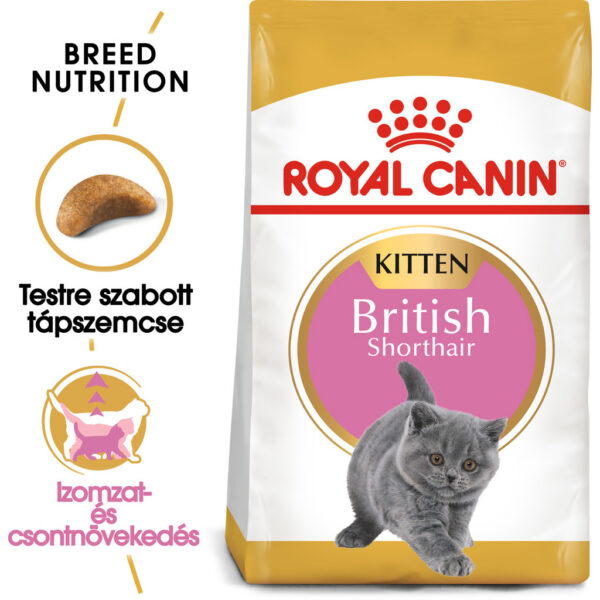 Royal Canin British Shorthair Kitten - Brit rövidszőrű kölyök macska száraz táp Royal Canin British Shorthair Kitten - Brit rövidszőrű kölyök macska száraz táp