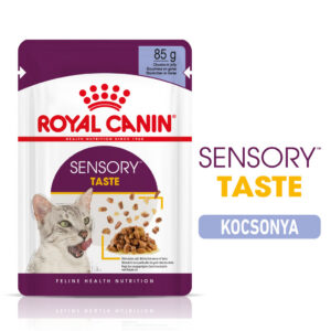 Royal Canin Sensory Taste Jelly - Zselés felnőtt macska nedves táp fokozott íz élménnye Royal Canin Sensory Taste Jelly - Zselés felnőtt macska nedves táp fokozott íz élménnye
