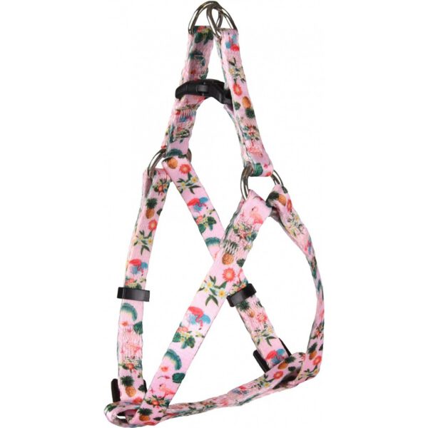 Flamingo póráz, nyakörv, hám flamingós mintával