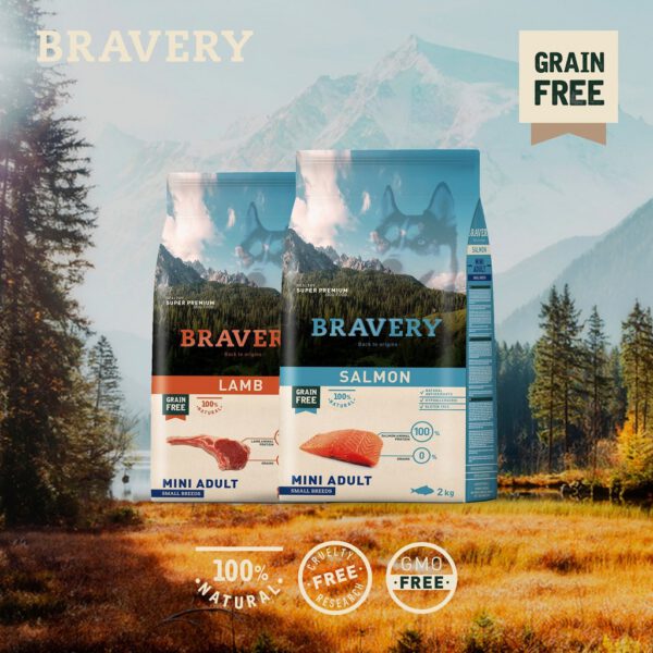 Bravery Dog Adult Mini Grain Free Salmon Bravery Dog Adult Mini Grain Free Salmon