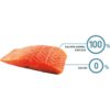 Bravery Dog Adult Mini Grain Free Salmon Bravery Dog Adult Mini Grain Free Salmon