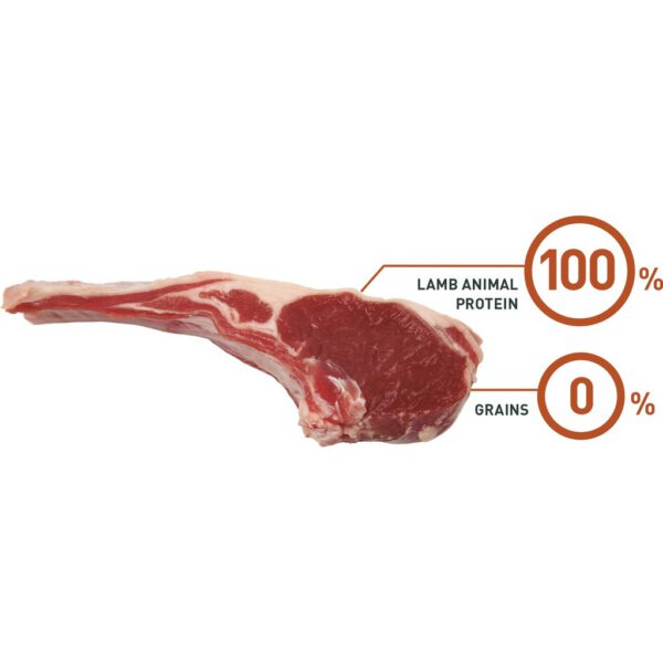 Bravery Dog Adult Medium/Large Grain Free Lamb Bravery Dog Adult Medium/Large Grain Free Lamb