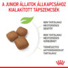 Royal Canin Giant Junior - óriás testű kölyök kutya száraz táp Royal Canin Giant Junior - óriás testű kölyök kutya száraz táp