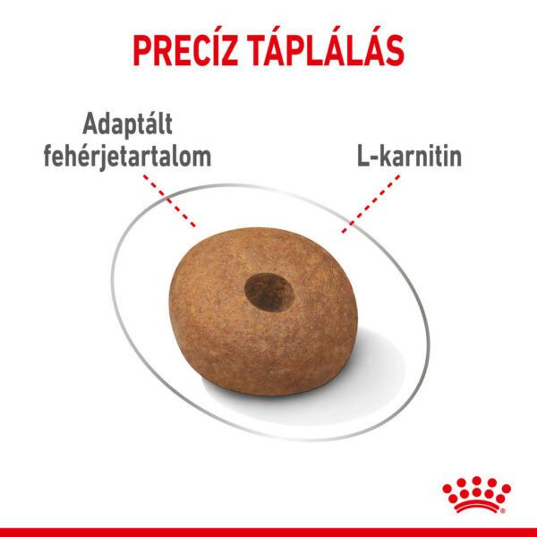 Royal Canin Medium Light Weight Care - Száraz táp hízásra hajlamos, közepes testű felnőtt kutyák részére