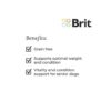 Brit Care Mini Grain Free Yorkshire Salmon & Tuna Brit Care Mini Grain Free Yorkshire Salmon & Tuna