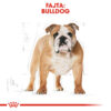 Royal Canin Bulldog Adult - Angol Bulldog felnőtt kutya száraz táp Royal Canin Bulldog Adult - Angol Bulldog felnőtt kutya száraz táp