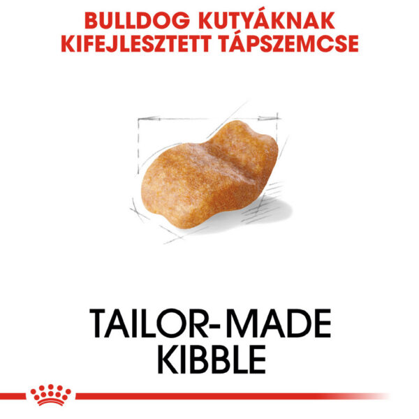 Royal Canin Bulldog Adult - Angol Bulldog felnőtt kutya száraz táp Royal Canin Bulldog Adult - Angol Bulldog felnőtt kutya száraz táp