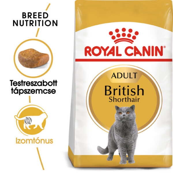Royal Canin British Shorthair Adult - Brit rövidszőrű felnőtt macska száraz táp Royal Canin British Shorthair Adult - Brit rövidszőrű felnőtt macska száraz táp