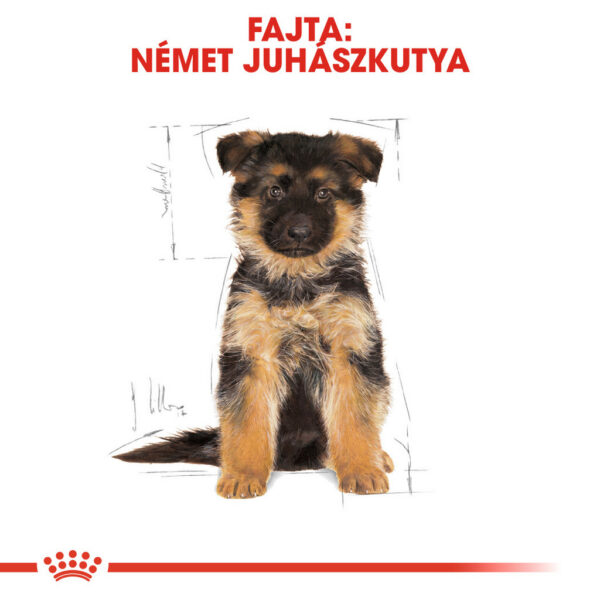Royal Canin German Shepherd Junior - Német Juhász kölyök kutya száraz táp Royal Canin German Shepherd Junior - Német Juhász kölyök kutya száraz táp