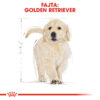 Royal Canin Golden Retriever Puppy - Golden Retriever kölyök kutya száraz táp Royal Canin Golden Retriever Puppy - Golden Retriever kölyök kutya száraz táp
