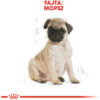 Royal Canin Pug Junior - Mopsz kölyök kutya száraz táp Royal Canin Pug Junior - Mopsz kölyök kutya száraz táp