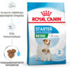 Royal Canin Mini Starter - Száraz táp kistestű vemhes szuka és kölyök kutya részére 2 hónapos korig