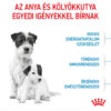 Royal Canin Mini Starter - Száraz táp kistestű vemhes szuka és kölyök kutya részére 2 hónapos korig