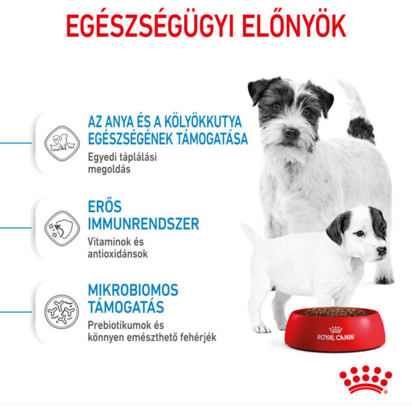 Royal Canin Mini Starter - Száraz táp kistestű vemhes szuka és kölyök kutya részére 2 hónapos korig