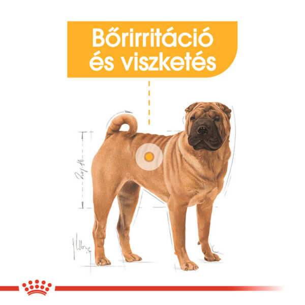 Royal Canin Medium Dermacomfort - Száraz táp bőrirritációra hajlamos, közepes testű felnőtt kutyák részére Royal Canin Medium Dermacomfort - Száraz táp bőrirritációra hajlamos, közepes testű felnőtt kutyák részére