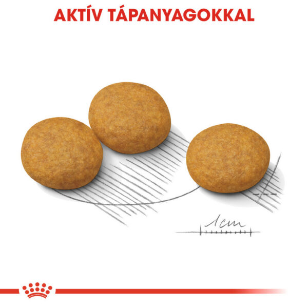 Royal Canin Medium Dermacomfort - Száraz táp bőrirritációra hajlamos, közepes testű felnőtt kutyák részére Royal Canin Medium Dermacomfort - Száraz táp bőrirritációra hajlamos, közepes testű felnőtt kutyák részére