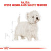 Royal Canin West Highlander White Terrier Adult - West Highlander White Terrier felnőtt kutya száraz táp Royal Canin West Highlander White Terrier Adult - West Highlander White Terrier felnőtt kutya száraz táp