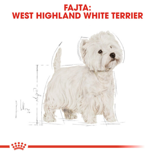 Royal Canin West Highlander White Terrier Adult - West Highlander White Terrier felnőtt kutya száraz táp Royal Canin West Highlander White Terrier Adult - West Highlander White Terrier felnőtt kutya száraz táp