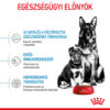 Royal Canin Maxi Starter - Száraz táp nagy testű vemhes szuka és kölyök kutya részére 2 hónapos korig
