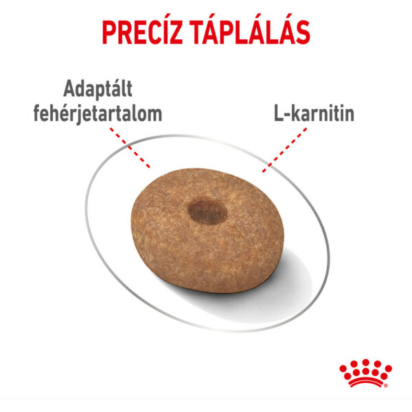 Royal Canin Mini Light Weight Care - Száraz táp hízásra hajlamos, kistestű felnőtt kutyák részére