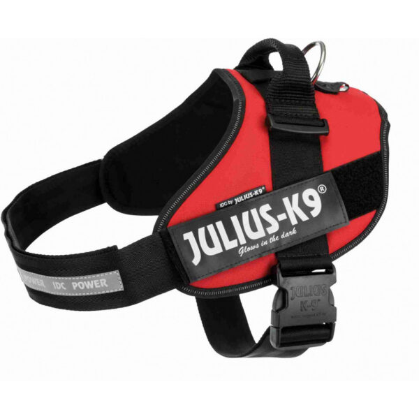 Julius-K9 IDC piros powerhám kutyáknak Julius-K9 IDC piros powerhám kutyáknak