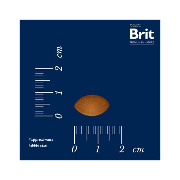 Brit Premium Light Brit Premium Light