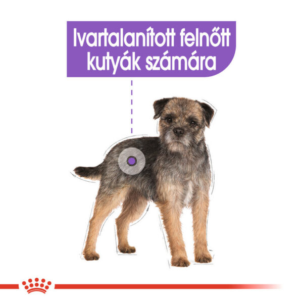 Royal Canin Mini Sterilised - Száraz táp ivartalanított, kistestű felnőtt kutyák részére Royal Canin Mini Sterilised - Száraz táp ivartalanított, kistestű felnőtt kutyák részére