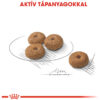 Royal Canin Mini Sterilised - Száraz táp ivartalanított, kistestű felnőtt kutyák részére Royal Canin Mini Sterilised - Száraz táp ivartalanított, kistestű felnőtt kutyák részére