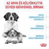 Royal Canin Medium Starter Mother & Babydog - Száraz táp közepes testű vemhes szuka és kölyök kutya részére 2 hónapos korig Royal Canin Medium Starter Mother & Babydog - Száraz táp közepes testű vemhes szuka és kölyök kutya részére 2 hónapos korig