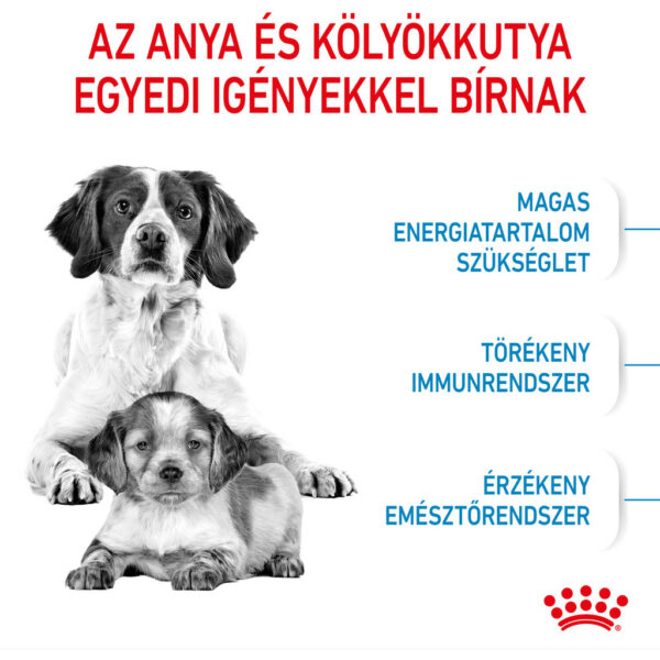 Royal Canin Medium Starter Mother & Babydog - Száraz táp közepes testű vemhes szuka és kölyök kutya részére 2 hónapos korig Royal Canin Medium Starter Mother & Babydog - Száraz táp közepes testű vemhes szuka és kölyök kutya részére 2 hónapos korig