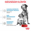 Royal Canin Medium Starter Mother & Babydog - Száraz táp közepes testű vemhes szuka és kölyök kutya részére 2 hónapos korig Royal Canin Medium Starter Mother & Babydog - Száraz táp közepes testű vemhes szuka és kölyök kutya részére 2 hónapos korig