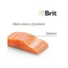 Brit Care Dog Show Champion Salmon & Herring Brit Care Dog Show Champion Salmon & Herring