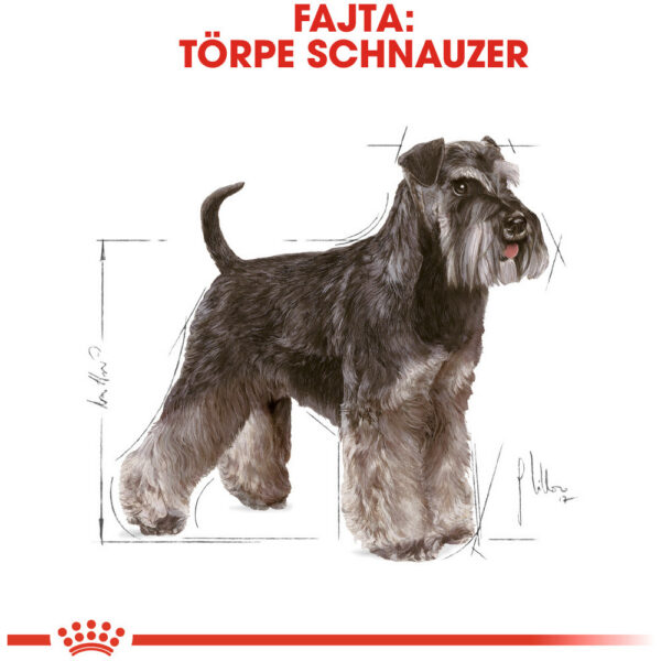 Royal Canin Miniature Schnauzer Adult - Törpe schnauzer felnőtt kutya száraz táp