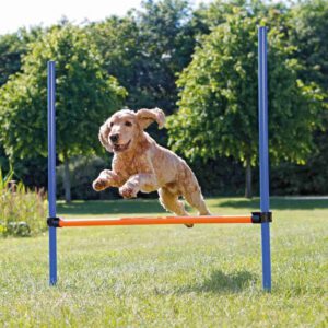 Trixie Dog Activity agility akadály Trixie Dog Activity agility akadály
