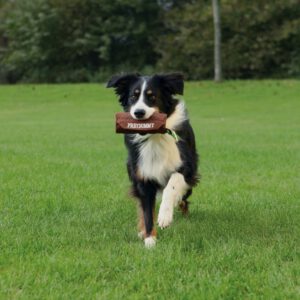 Trixie Dog Activity préda utánzat játék kutyáknak