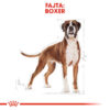 Royal Canin Boxer Adult - Boxer felnőtt kutya száraz táp Royal Canin Boxer Adult - Boxer felnőtt kutya száraz táp