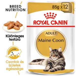 Royal Canin Maine Coon Adult - Maine Coon felnőtt macska nedves táp Royal Canin Maine Coon Adult - Maine Coon felnőtt macska nedves táp