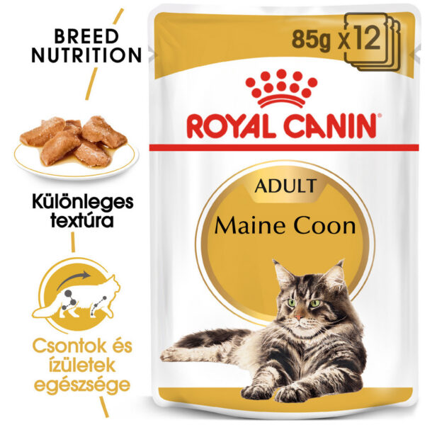 Royal Canin Maine Coon Adult - Maine Coon felnőtt macska nedves táp Royal Canin Maine Coon Adult - Maine Coon felnőtt macska nedves táp