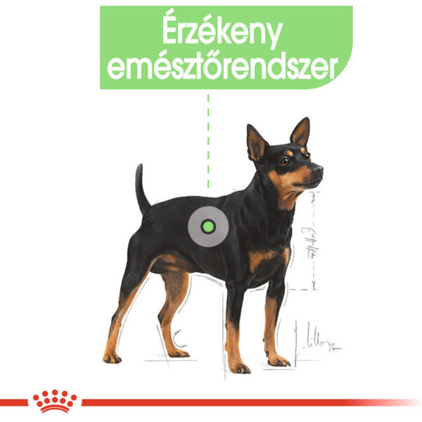 Royal Canin Mini Digestive Care - Száraz táp érzékeny emésztésű, kistestű felnőtt kutyák részére