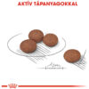 Royal Canin Mini Digestive Care - Száraz táp érzékeny emésztésű, kistestű felnőtt kutyák részére