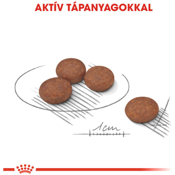 Royal Canin Mini Digestive Care - Száraz táp érzékeny emésztésű, kistestű felnőtt kutyák részére