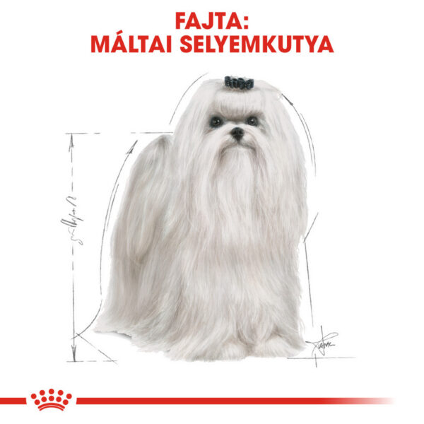 Royal Canin Maltese Adult - Máltai selyemkutya felnőt száraz táp Royal Canin Maltese Adult - Máltai selyemkutya felnőt száraz táp