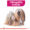 Royal Canin Mini Exigent - Válogatós felnőtt kistestű kutya száraz táp Royal Canin Mini Exigent - Válogatós felnőtt kistestű kutya száraz táp