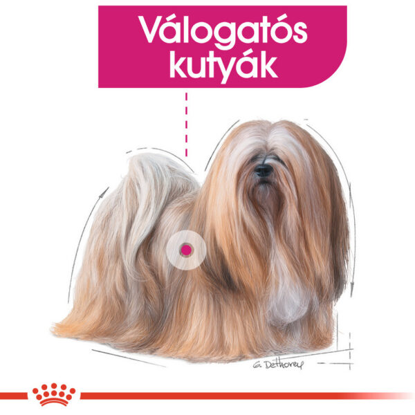 Royal Canin Mini Exigent - Válogatós felnőtt kistestű kutya száraz táp Royal Canin Mini Exigent - Válogatós felnőtt kistestű kutya száraz táp
