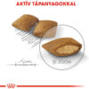 Royal Canin Mini Exigent - Válogatós felnőtt kistestű kutya száraz táp Royal Canin Mini Exigent - Válogatós felnőtt kistestű kutya száraz táp